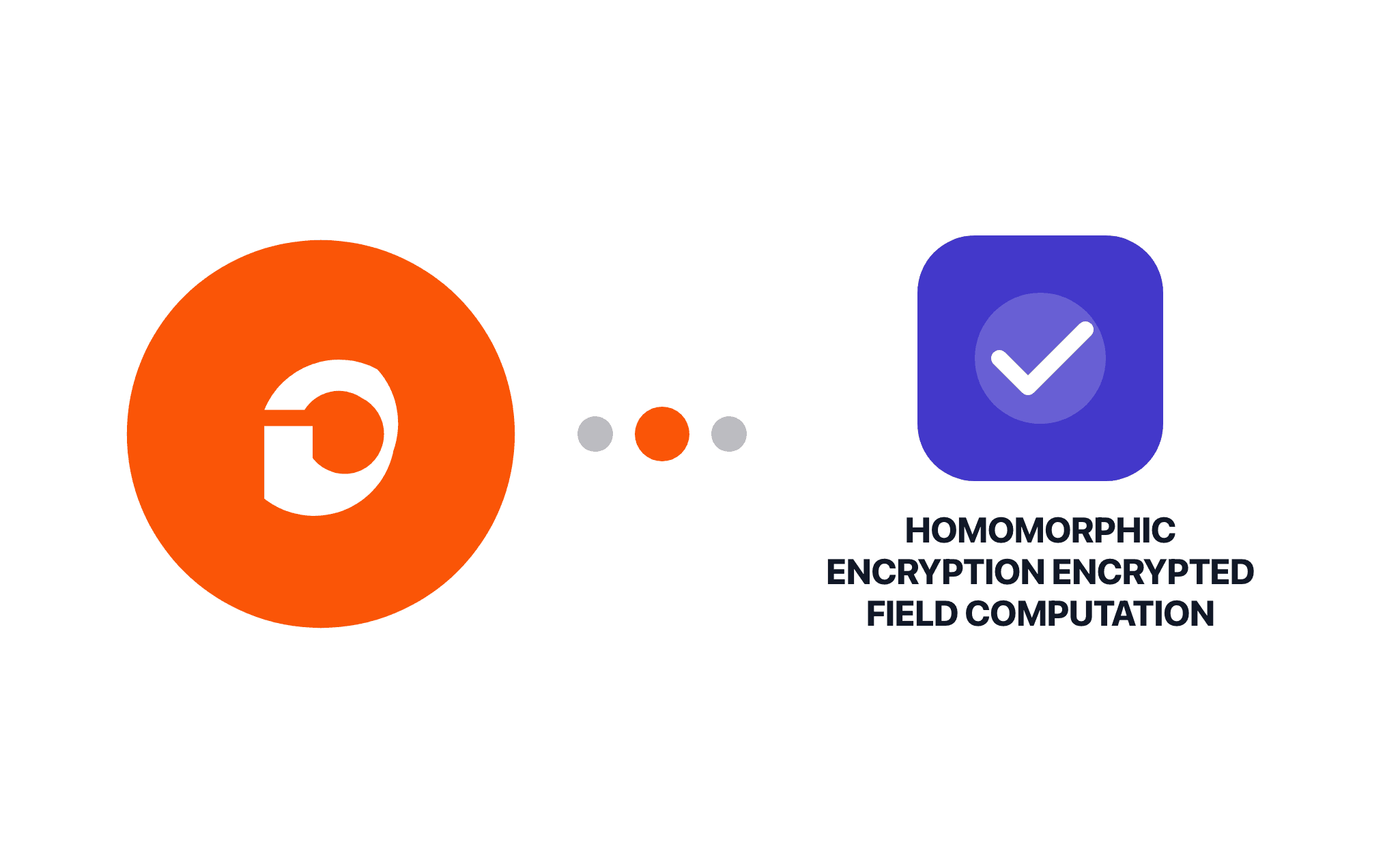 Gravity Forms Homomorphic Encryption Encrypted Field Computation