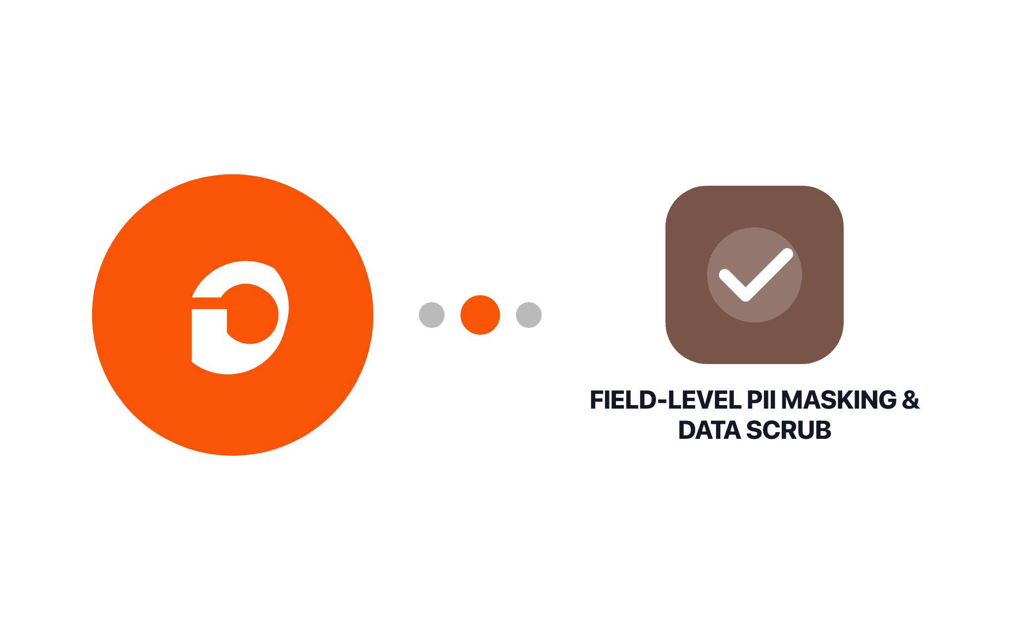Gravity Forms Field-Level PII Masking & Data Scrub