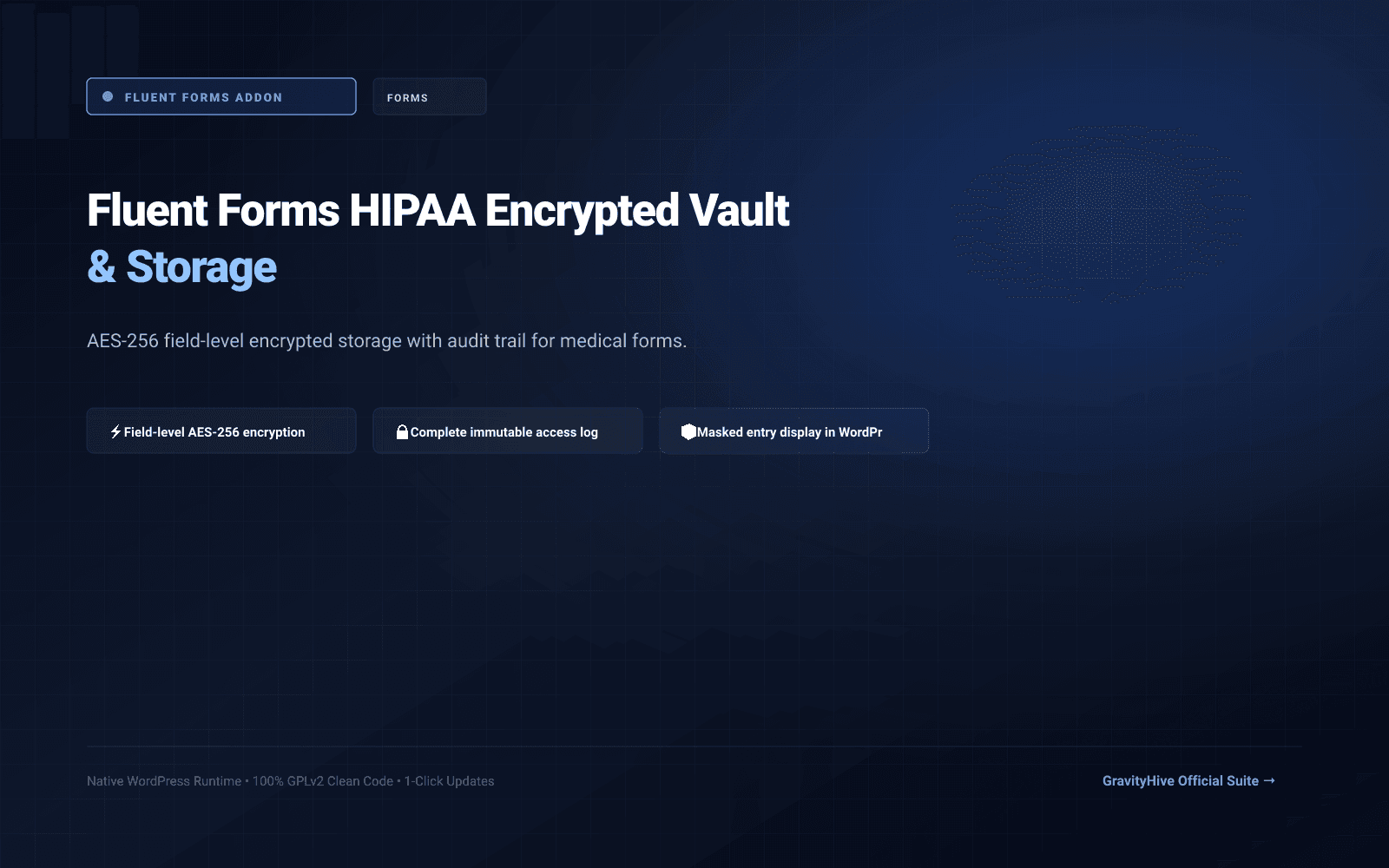 Fluent Forms HIPAA Encrypted Vault & Storage